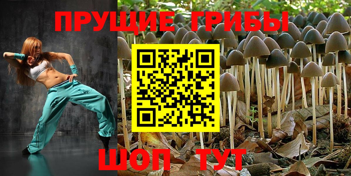 где можно купить наркотик  Вход с VPN  Учалы  Галлюциногенные грибы Cubensis 